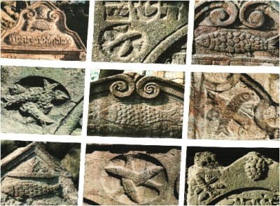 וידגו לרוב.jpg