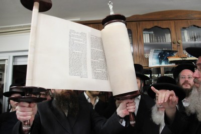 הגבה הפוכה.jpg